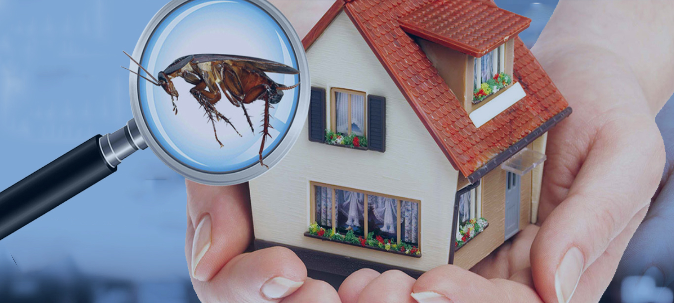 Pest control companies in Agra